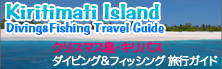 �N���X�}�X�� �_�C�r���O���t�B�b�V���O���s�K�C�h